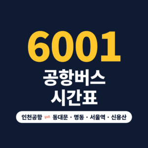 6001번 공항 버스 시간표와 실시간 버스 위치 확인 6001번 공항 버스 시간표와 실시간 버스 위치 확인